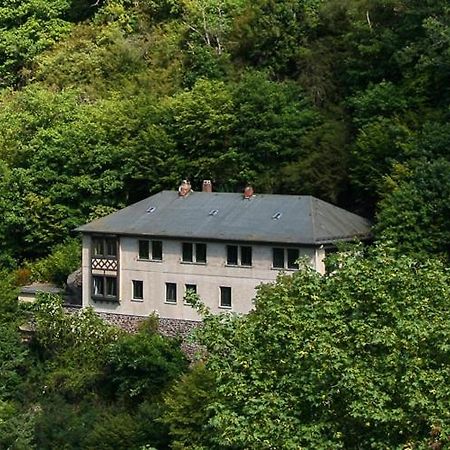 Villa Haus Am Berg Bad Bertrich Exterior foto